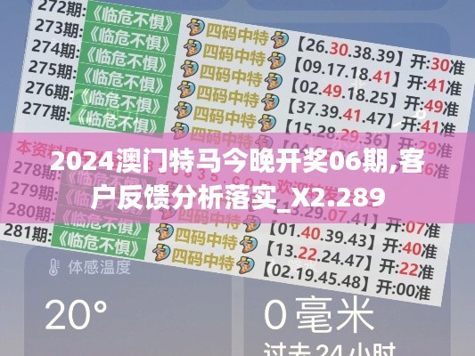 2024澳门特马今晚开奖06期,客户反馈分析落实_X2.289