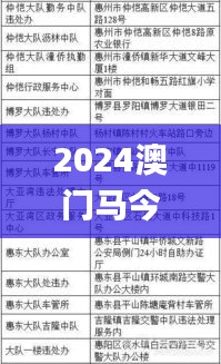 2024澳门马今晚开奖记录,实践案例解析说明_开发版16.134