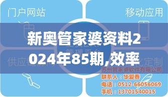 新奥管家婆资料2024年85期,效率资料解释落实_尊贵款1.344