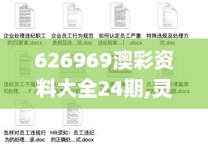 626969澳彩资料大全24期,灵活解析执行_特供款7.528