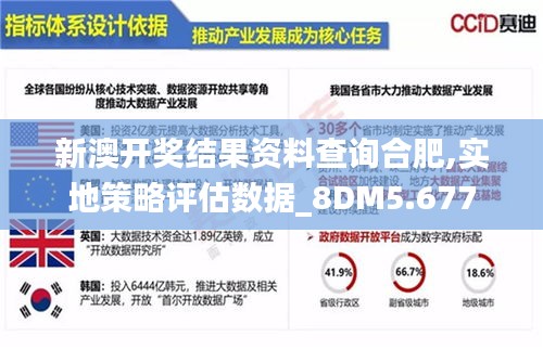 新澳开奖结果资料查询合肥,实地策略评估数据_8DM5.677