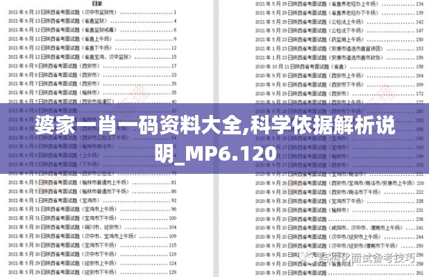 婆家一肖一码资料大全,科学依据解析说明_MP6.120