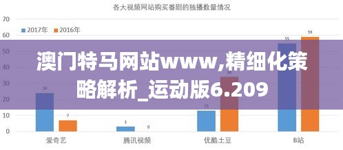 澳门特马网站www,精细化策略解析_运动版6.209