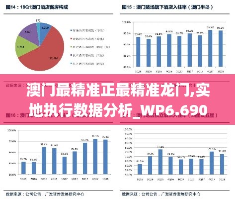 澳门最精准正最精准龙门,实地执行数据分析_WP6.690