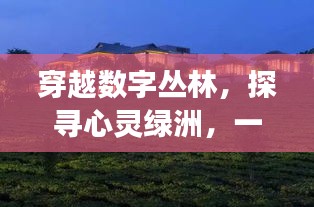 穿越数字丛林，探寻心灵绿洲，网站建设公司的自然探索之旅