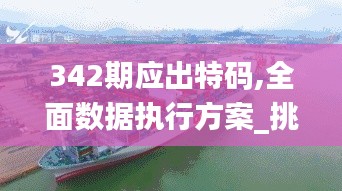 342期应出特码,全面数据执行方案_挑战款13.191