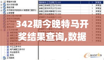 342期今晚特马开奖结果查询,数据解答落实_交互版18.986