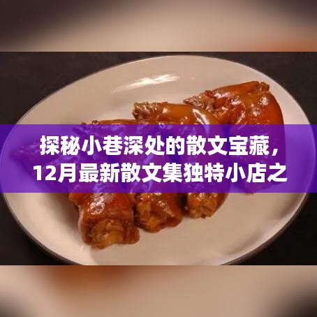 小巷深处的散文宝藏，十二月独特小店之旅探秘之旅