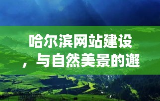 哈尔滨网站建设，与自然美景的邂逅，心灵的静谧之旅