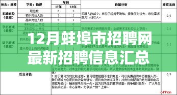 蚌埠市招聘网最新招聘信息汇总（十二月版）