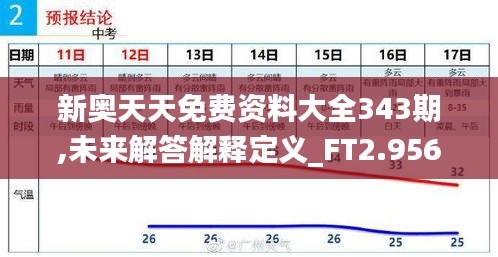 新奥天天免费资料大全343期,未来解答解释定义_FT2.956