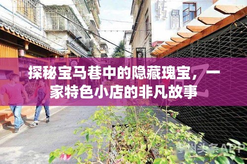 探秘宝马巷隐藏瑰宝，特色小店的非凡故事之旅