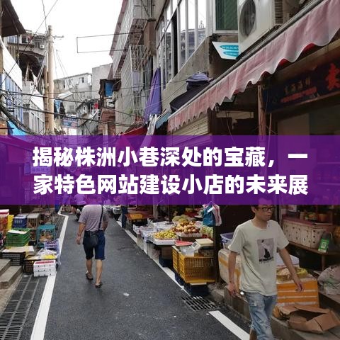 揭秘株洲小巷深处的宝藏，一家特色网站建设小店的未来展望