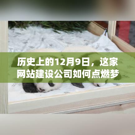 梦想点燃之火，网站建设公司在历史上的重要时刻回顾与启示