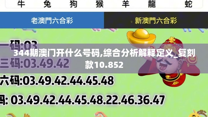 344期澳门开什么号码,综合分析解释定义_复刻款10.852