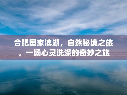 合肥国家滨湖自然秘境之旅，心灵洗涤的奇妙探险