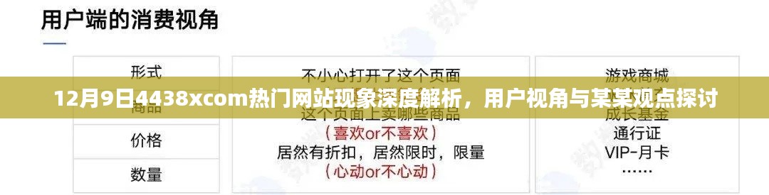 深度解析，12月9日4438xcom热门网站现象——用户视角与专家观点探讨