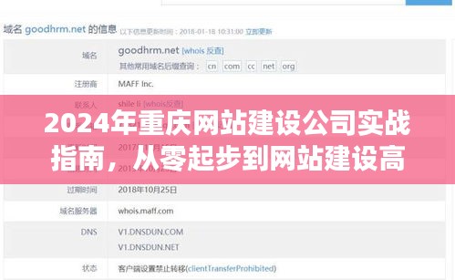 从新手到高手，重庆网站建设公司的实战指南与蜕变之路（2024版）