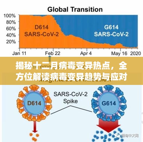 揭秘十二月病毒变异热点，趋势解读与应对策略探讨