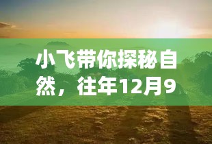 小飞带你探秘自然，往年12月9日的宁静之旅回顾