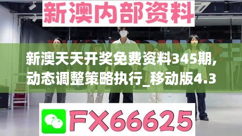 新澳天天开奖免费资料345期,动态调整策略执行_移动版4.381