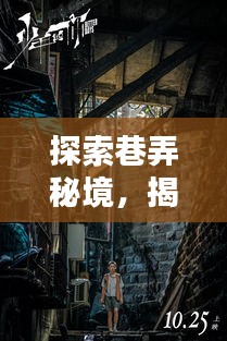 揭秘十二月巷弄秘境，特色网站建设网络公司深度探索之旅