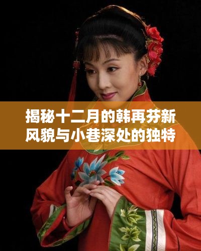 揭秘韩再芬十二月的全新风貌与小巷深处的独特小店探秘