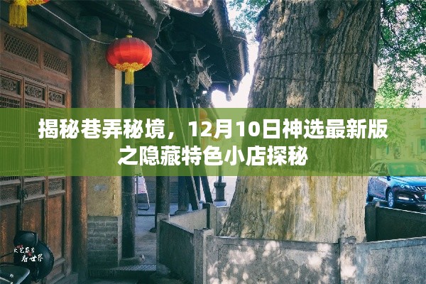 揭秘巷弄秘境，神选最新版隐藏特色小店探秘之旅（12月10日）