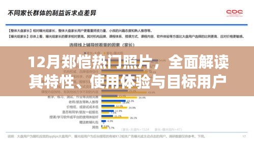 郑恺十二月热门照片解析，特性、用户体验与目标用户群探讨