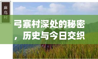 弓寨村十二月十日的独特风情，历史与现代的交织之谜