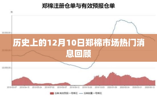 郑棉市场热门消息回顾，历史上的12月10日回顾