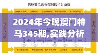 2024年今晚澳门特马345期,实践分析解析说明_P版8.404