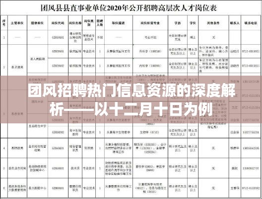 团风招聘热门信息资源的深度解析，以案例剖析十二月十日的招聘趋势