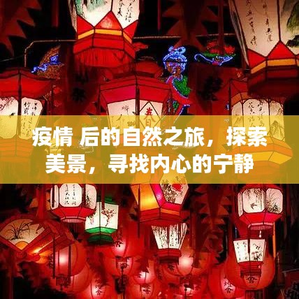 疫情后的自然探索之旅，追寻美景与内心宁静的旅程