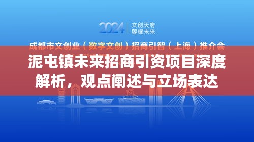 泥屯镇未来招商引资项目深度解析，观点、立场与策略探讨