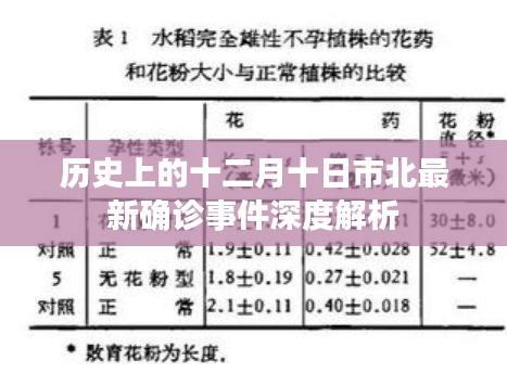 市北十二月十日最新确诊事件深度解析与历史回顾