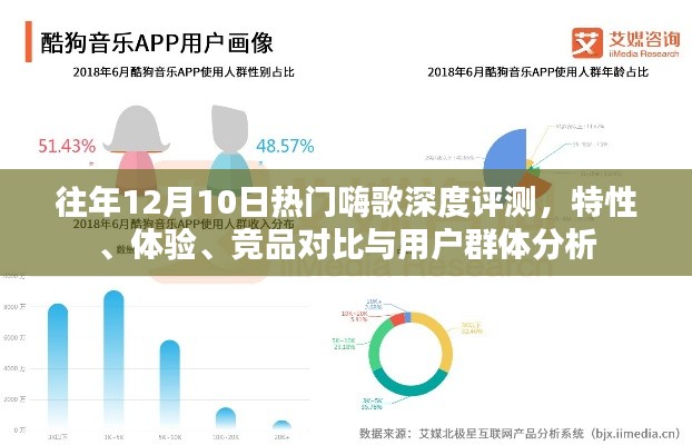 往年12月热门嗨歌深度解析，特性、体验、竞品对比与用户群体分析报告