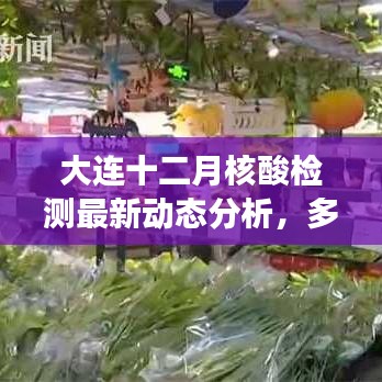 大连十二月核酸检测最新动态分析，多方观点下的深度思考