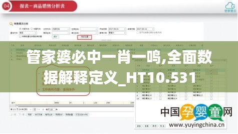 管家婆必中一肖一鸣,全面数据解释定义_HT10.531