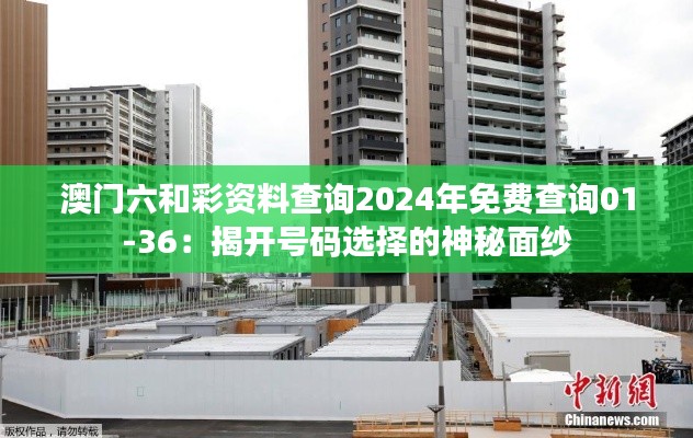 澳门六和彩资料查询2024年免费查询01-36：揭开号码选择的神秘面纱