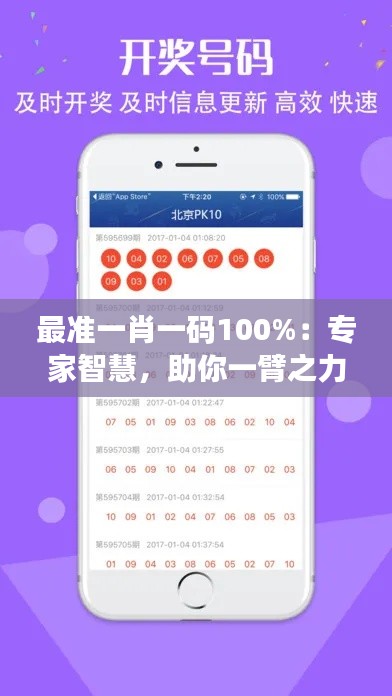 最准一肖一码100%：专家智慧，助你一臂之力