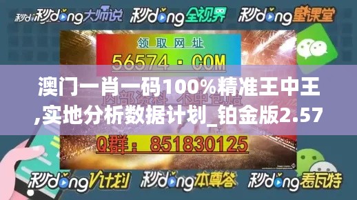 澳门一肖一码100%精准王中王,实地分析数据计划_铂金版2.571