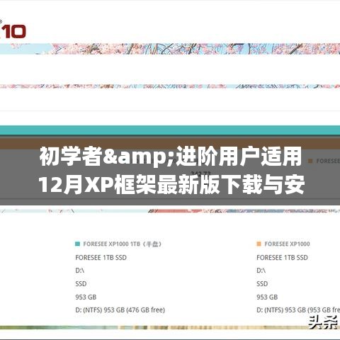 初学者与进阶用户适用的最新版XP框架下载与安装全攻略