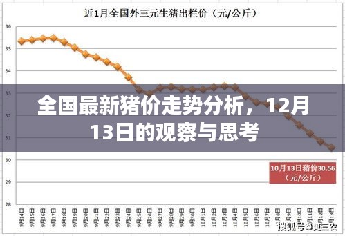 全国最新猪价走势分析，12月13日的观察与趋势思考