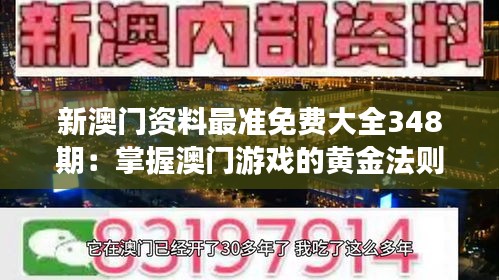 新澳门资料最准免费大全348期：掌握澳门游戏的黄金法则