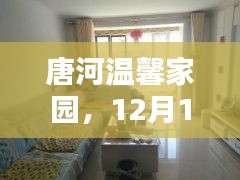 唐河温馨家园，租房奇遇与家的温馨时光（12月13日）