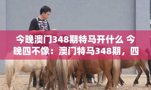 今晚澳门348期特马开什么 今晚四不像：澳门特马348期，四不像的可能结果