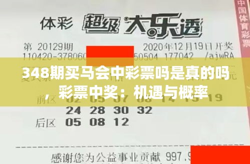 348期买马会中彩票吗是真的吗，彩票中奖：机遇与概率