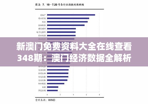 新澳门免费资料大全在线查看348期：澳门经济数据全解析，洞察投资机会