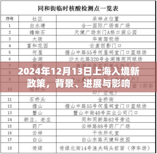 上海入境新政策解析，背景进展与影响分析（2024年12月13日）